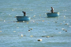 Quảng Ngãi: Một ngư dân mất tích khi đang câu mực trên biển