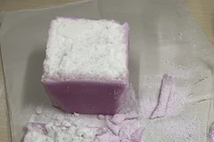 Phát hiện bưu kiện chứa ma túy ngụy trang gửi qua chuyển phát nhanh