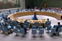 Toàn thể phiên họp của Hội đồng Bảo an Liên hợp quốc. (Ảnh: TTXVN)
