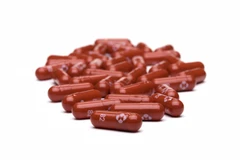 Đan Mạch khuyến nghị sử dụng Molnupiravir cho bệnh nhân nguy cơ cao