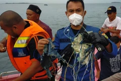 Vụ rơi máy bay Indonesia: Hải quân thông báo xác định được tọa độ rơi