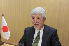 “Thành công của Việt Nam là rất thần kỳ dưới góc nhìn người dân Nhật"