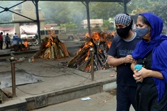 Dịch COVID-19: Ấn Độ ghi nhận số ca tử vong vượt 250.000 người