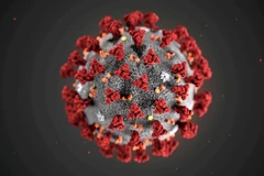 Giới khoa học phát hiện "gót chân Achilles của virus SARS-CoV-2"