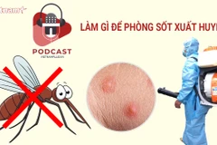 [Audio] Đề phòng dịch sốt xuất huyết trong thời điểm dịch COVID-19