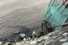 Ninh Bình: Dầu thải đe dọa nguồn nước sạch của 12.000 hộ dân