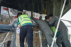 Singapore điều máy bay chở thiết bị y tế giúp Indonesia chống dịch