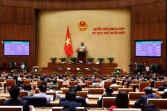 Triển khai Nghị quyết của Quốc hội về công tác nhiệm kỳ 2021-2026