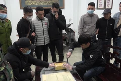 Công an Lào Cai phá vụ vận chuyển hơn 20.000 viên ma túy tổng hợp