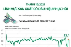 [Infographics] Lĩnh vực sản xuất có dấu hiệu phục hồi trong tháng 10