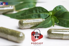 [Audio] "Thần dược" xuyên tâm liên có thực sự chữa được COVID-19?