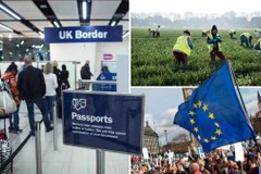 Số người nhập cư vào Anh đã giảm đáng kể. (Nguồn: metro.co.uk)