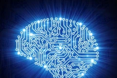 (Nguồn: cruxnow.com)