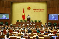 Toàn cảnh Kỳ họp thứ 8, Quốc hội khóa XIV. (Ảnh: Dương Giang/TTXVN)