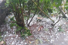 Mưa đá tại trung tâm huyện Mường Nhé. (Ảnh: Xuân Tư/TTXVN)