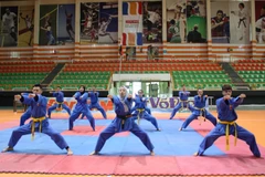 Các võ sinh Ai Cập tham gia trình diễn tại giải giải Vovinam – Việt Võ Đạo tranh cúp Đại sứ lần đầu tiên diễn ra ở Ai Cập. (Ảnh: Anh Tuấn/TTXVN)