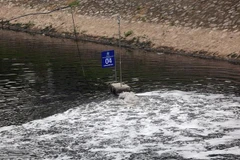 [Video] Thí điểm làm sạch sông Tô Lịch sẽ phải thực hiện lại từ đầu