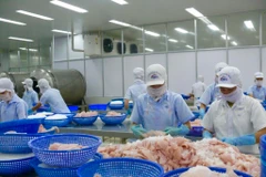Chế biến cá tra xuất khẩu. (Ảnh: Thanh Sang/TTXVN)