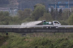 Phun thuốc khử trùng xung quanh trang trại nuôi lợn ở Paju, phía bắc thủ đô Seoul, Hàn Quốc, sau khi phát hiện trường hợp đầu tiên nhiễm virus tả lợn châu Phi ngày 17/9/2019. (Ảnh: Yonhap/ TTXVN)
