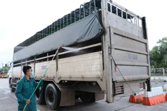 Phun khử trùng xe chở lợn. (Ảnh: Đức Hạnh/TTXVN)