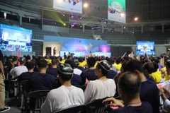 Toàn cảnh Lễ hội. (Ảnh: PV/Vietnam+)