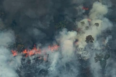 Khói lửa bốc lên từ đám cháy tại rừng Amazon ở Porto Velho, bang Rondonia, miền Tây Bắc Brazil, ngày 24/8/2019. (Ảnh: AFP/TTXVN)