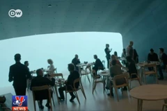 [Video] Bữa ăn diệu kỳ của nhà hàng nằm dưới lòng đại dương 