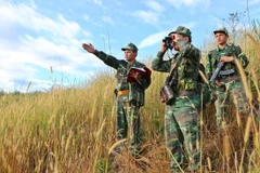 Bộ đội Biên phòng tuần tra biên giới Việt Nam-Campuchia. (Ảnh: Dương Giang/TTXVN)