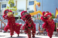 Các thành viên Câu lạc bộ lân sư rồng Hiền Long Đường tập luyện. (Ảnh: Hồng Đạt/TTXVN)