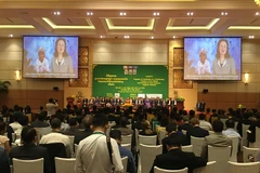 Quang cảnh hội nghị. (Ảnh: PV/Vietnam+)