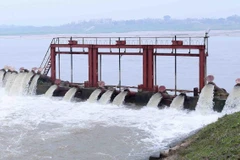 Tỉnh Hậu Giang kiến nghị kéo dài thời gian thực hiện Đề án Phát triển trạm bơm điện. (Ảnh: Vũ Sinh/TTXVN)