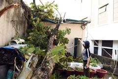 Mưa lớn và gió mạnh khiến nhiều nhà dân ở thành phố Tuyên Quang bị hư hại. (Ảnh: Quang Cường/TTXVN)