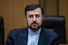 Đại sứ Iran tại IAEA, Kazem Gharib Abadi. (Ảnh: IRNA/ TTXVN)
