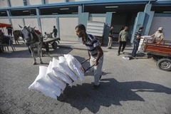 Người tị nạn Palestine nhận thực phẩm cứu trợ từ UNRWA tại trại tị nạn Jabalia ở Dải Gaza ngày 4/9/2018. (Ảnh: THX/TTXVN) 