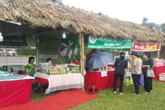 Các gian hàng tại “Festival văn hóa truyền thống Việt 2019”. (Ảnh: Khánh Vy - TTXVN phát)