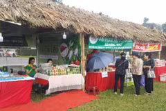 Các gian hàng tại “Festival văn hóa truyền thống Việt 2019”. (Ảnh: Khánh Vy - TTXVN phát)