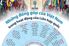 [Infographics] Những đóng góp của Việt Nam trong hoạt động của LHQ