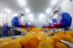 Dây chuyền chế biến trái cây xuất khẩu của Công ty Cổ phần Nafoods miền Nam. (Ảnh: Danh Lam/TTXVN)