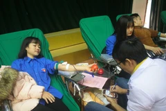 Đoàn viên thanh niên tham gia hiến máu tình nguyện tại Cao Bằng. (Ảnh: Chu Hiệu/TTXVN)
