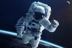 [Video] Những sự thật cuộc sống khiến chúng ta không ngừng ngạc nhiên