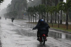 (Ảnh: Duy Khương/TTXVN)