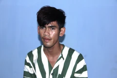 Đối tượng Võ Hoàng Linh bị tạm giữ. (Ảnh: Thanh Tân/TTXVN)