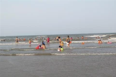 Du khách tắm biển ở bãi biển Xuân Hải huyện Lộc Hà, Hà Tĩnh. (Ảnh: Công Tường-TTXVN)