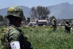 Binh sỹ Mexico gác tại hiện trường đổ nát sau loạt vụ nổ nhà máy sản xuất pháo hoa ở La Saucera ngày 5/7/2018. (Nguồn: THX/TTXVN) 