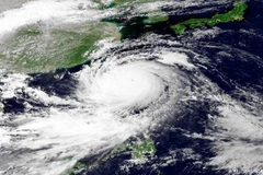 Ảnh minh họa. (Nguồn: Reuters)