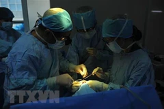 (Ảnh minh hoạ. Minh Đức/TTXVN)