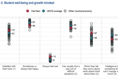 Các chỉ số của học sinh Việt Nam tham gia PISA 2018. (Ảnh chụp màn hình)