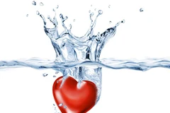 [Video] Bí quyết để các FA vượt qua nỗi cô đơn trong ngày Valentine