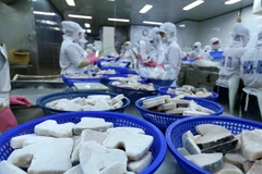 Dây chuyền chế biến cá ngừ đại dương đông lạnh xuất khẩu tại nhà máy của Công ty Cổ phần Thủy sản Bình Định. (Ảnh: Vũ Sinh/TTXVN)