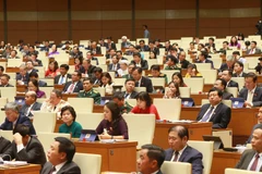 Các đại biểu tham dự Kỳ họp thứ 8, Quốc hội khóa XIV. (Ảnh: Doãn Tấn/TTXVN)